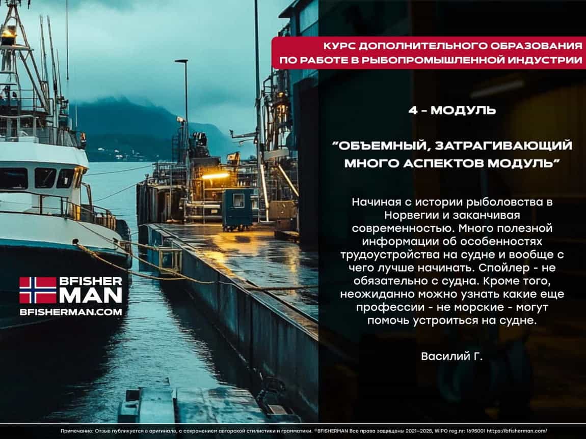 BFISHERMAN ОТЗЫВЫ BFISHERMAN ОТЗЫВЫ